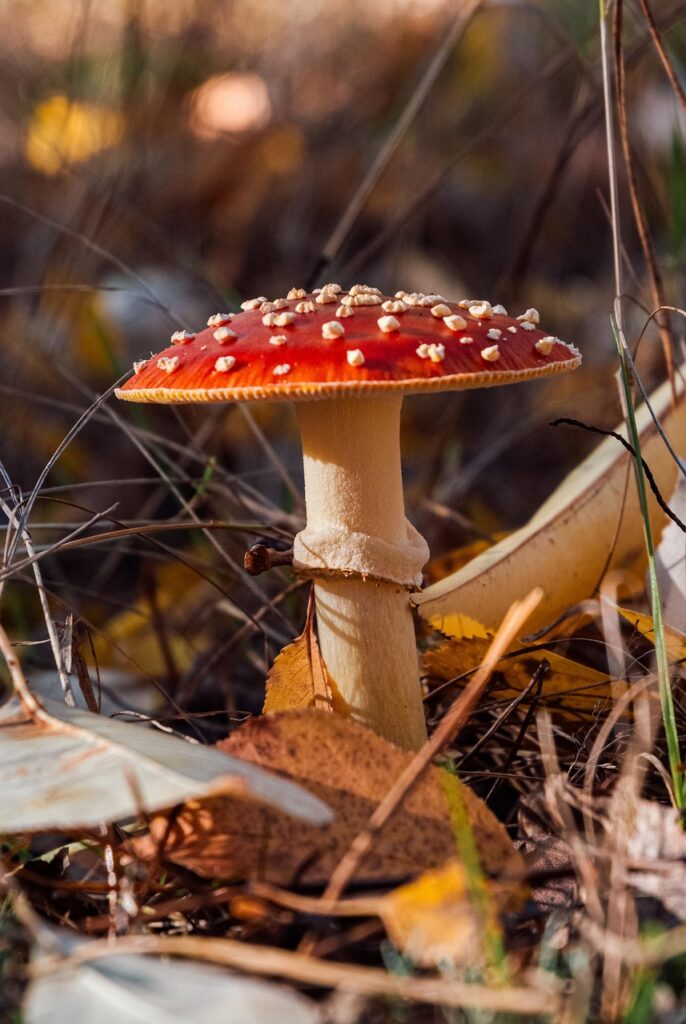 ニキビ対策に効果的な花粉シーズンの食事は？
