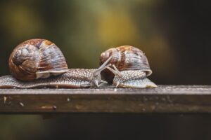 ニキビ改善に効果的なサプリは継続何ヶ月飲むべき？