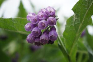 ニキビと更年期におけるホルモンの影響への対応方法は？