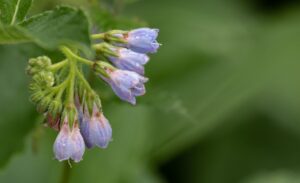 ニキビ改善に白湯を使ったデトックスの効果とは？