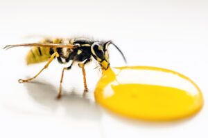ニキビ改善のための青汁を飲むタイミングはいつがベスト？