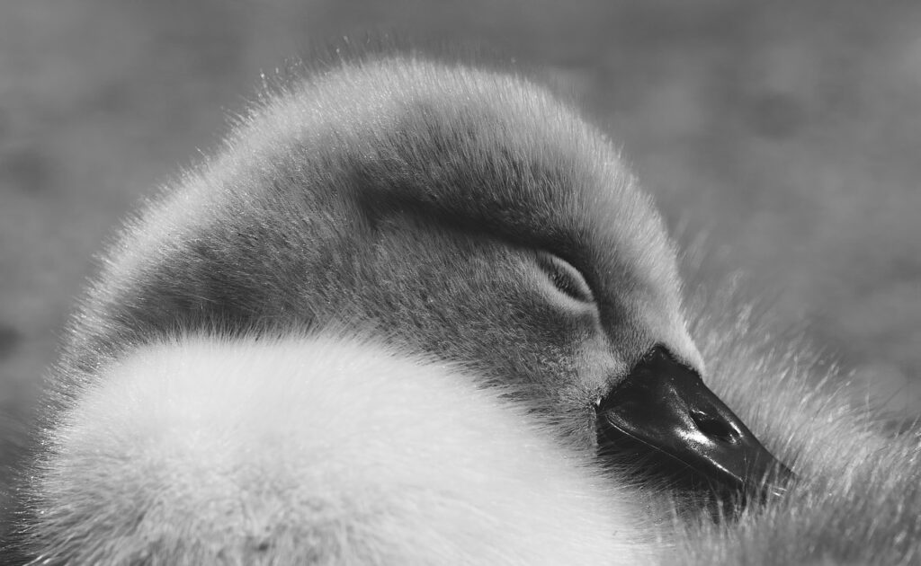 ニキビに睡眠不足が与える影響とは？