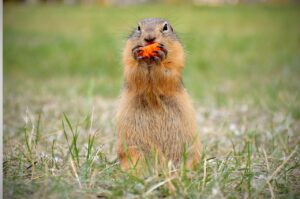 繰り返すニキビを体内ケアするために食べていいものは？