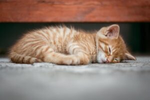 繰り返すニキビを睡眠の質上げる方法で改善するには？