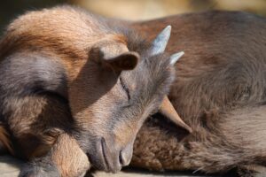 繰り返すニキビが部位別に出るのは睡眠不足のサイン？