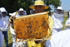 繰り返すニキビを防ぐための体内ケアジュースの置き換え例は？