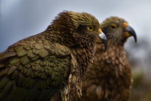 繰り返すニキビの体内ケアにはウォーキングを何分するのが目安？