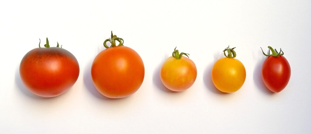 繰り返すニキビに悩むあなたへ、体内ケアに合うナス科野菜と合わないものは？